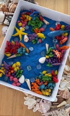 SMYSLOHRANÍ v parku - život ve vodě  🐳